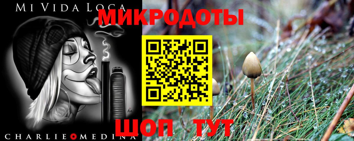 Галлюциногенные грибы Cubensis Дедовск